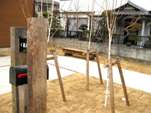 坂東アンデルセン・白樺２