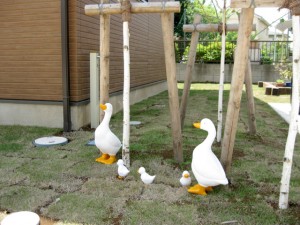 アンデルセンの春　アヒルの親子