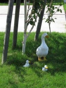 IMG_1813